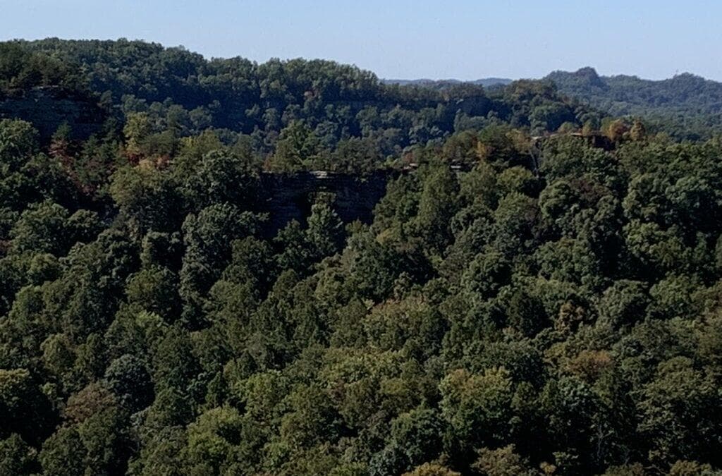 Exploring the Majestic Red River Gorge: A Hiker’s Paradise in Kentucky