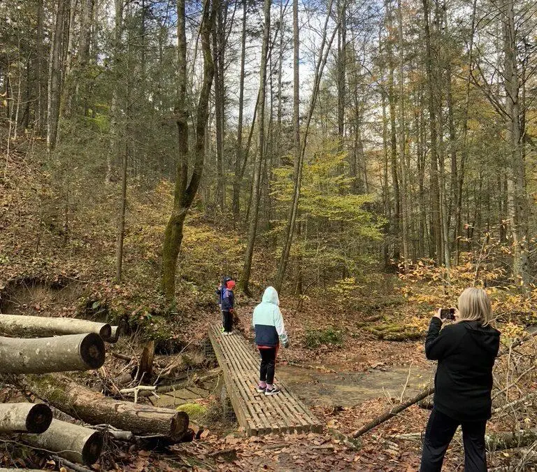 7 Unique Features of the Red River Gorge in Kentucky