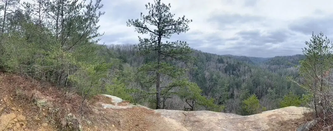 Things to Think About When Planning Your Adventure to the Red River Gorge, Kentucky