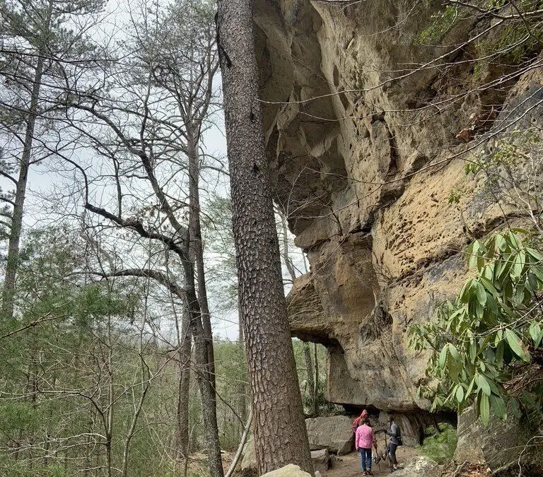 5 Reasons Hiking with Friends at Red River Gorge, Kentucky is an Unforgettable Adventure