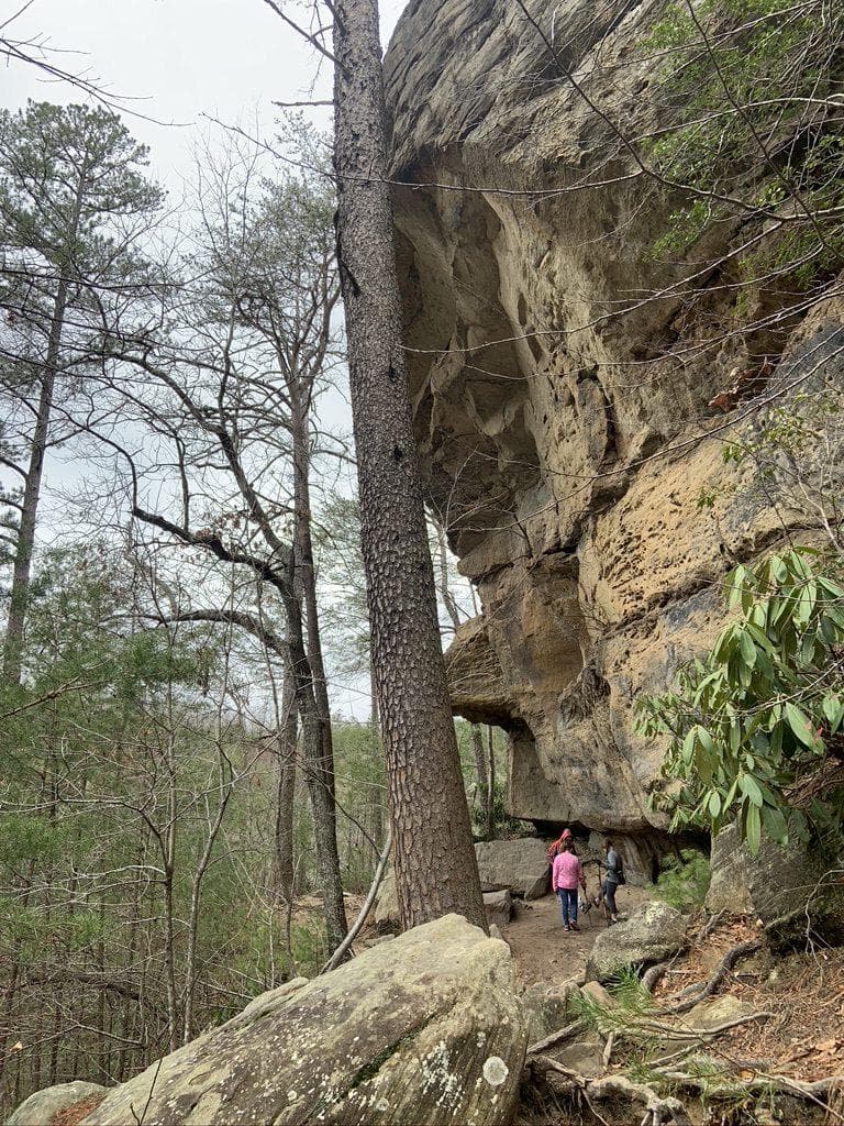 adventure at the red river gorge in ky Hikers explore a sandstone cliff at Red River Gorge, Kentucky. Hiking with friends in Red River Gorge, KY.