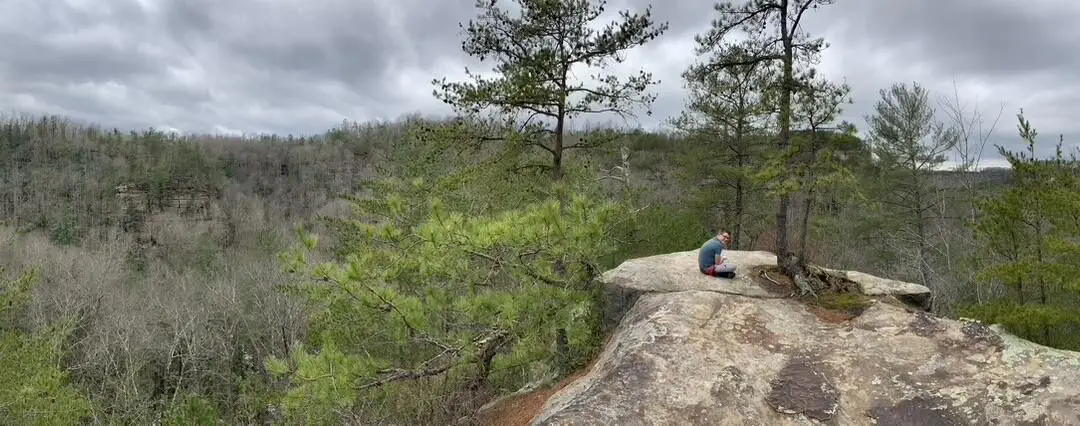 Explore Clifty Wilderness Area in Red River Gorge, Kentucky on Your Next Vacation