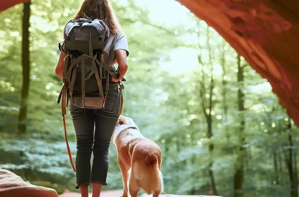 7 Pawsome Adventures with Dogs at Red River Gorge, Kentucky
