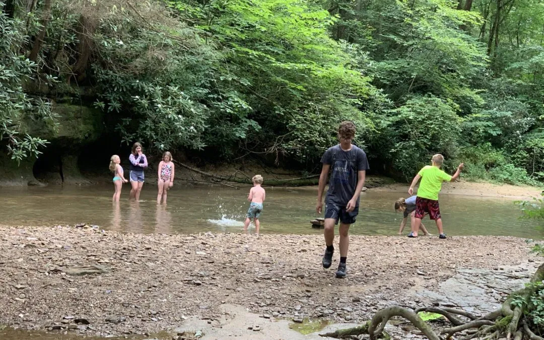 The Ultimate Adventure Guide: Swimming Hotspots at Red River Gorge, Kentucky
