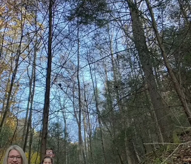 5 Reasons Why Nature Lovers Adore Red River Gorge in Kentucky