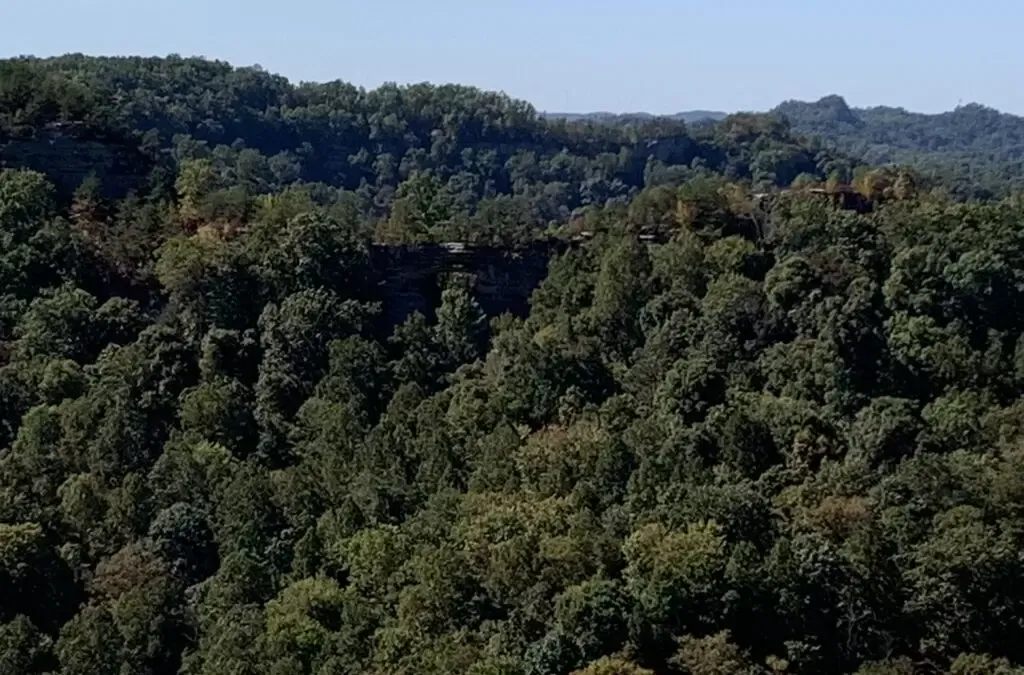 Exploring the Majestic Red River Gorge: A Hiker’s Paradise in Kentucky