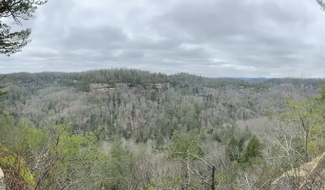 Unleashing the Spirit of Adventure: Exploring the Red River Gorge in Daniel Boone Forest, KY