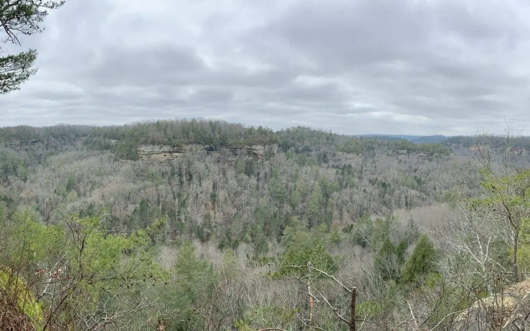 Things to Do at the Red River Gorge: 67 Must-Explore Trails for Your Adventure! (Your Complete Hiking Guide to the Gorge)