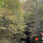 Road leading into a rock tunnel in Red River Gorge, KY, surrounded by fall foliage. Hike the Indian Stair Case this fall!