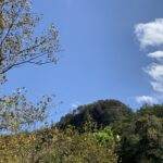 Red River Gorge, KY: View of a tree-covered mountain under a blue sky with scattered clouds.