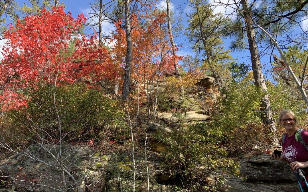 15 Reasons Why You Should Hike the Indian Stair Case this Fall in the Red River Gorge, KY