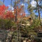 Fall foliage along the Indian Staircase trail in Red River Gorge, KY. Hiker visible.
