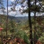 Scenic view of Red River Gorge, KY, with colorful fall foliage and distant hills. Hiking in Kentucky.
