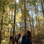 Woman looks up at fall foliage while hiking in Red River Gorge, KY. Mystery hike experience.
