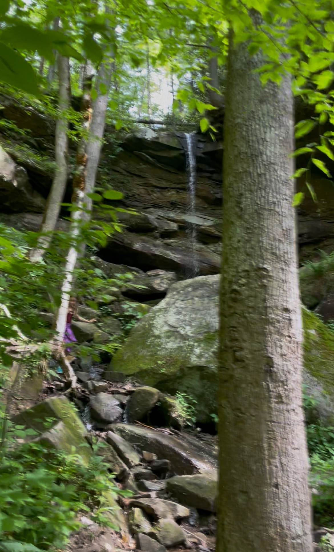 Waterfall cascading over mossy rocks in Red River Gorge, KY. Lush green forest surrounds the small falls.