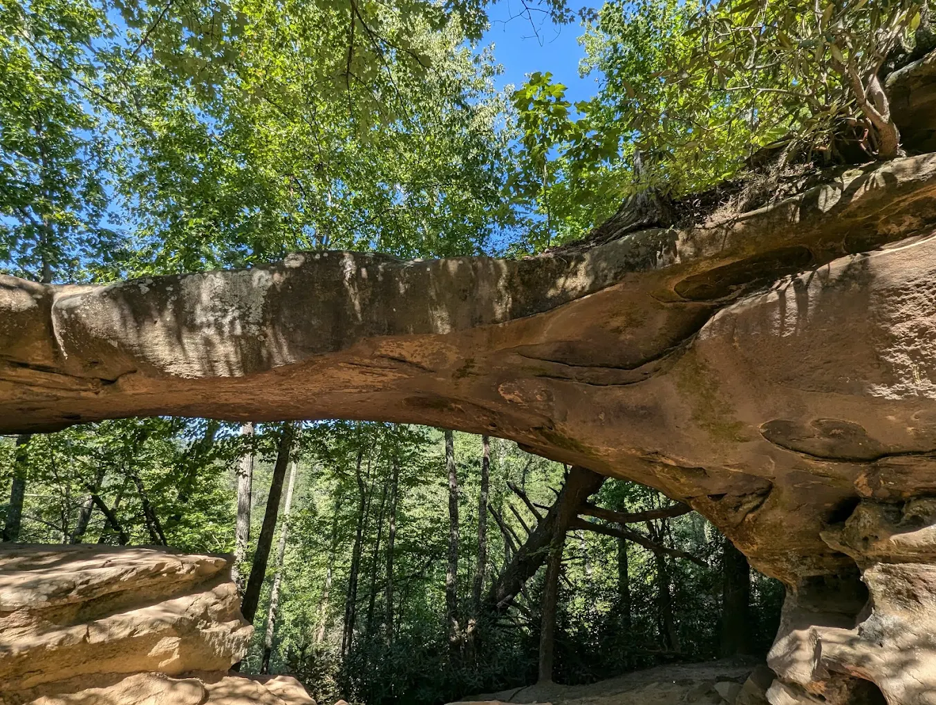 Smoke on The Mountain Mystery Adventure 3 Red River Gorge, KY: Rock bridge natural arch with lush green trees and blue sky. Mystery hike adventure.