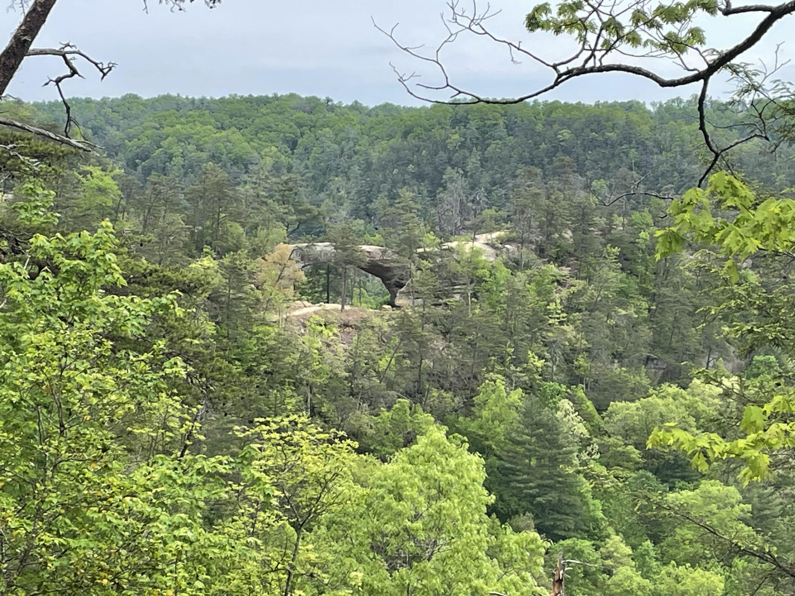 Natural Bridge in Red River Gorge, KY. Hiking trail through the forest. Red River Gorge fun things to do.