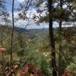 IMG 4148 15 Reasons Why You Should Hike the Indian Stair Case this Fall in the Red River Gorge, KY