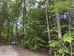 Exploring the Natural Wonders: Rock Formations in Red River Gorge 1 Golf bag with clubs on the green at Red River Gorge, KY. Mystery Hike fun.