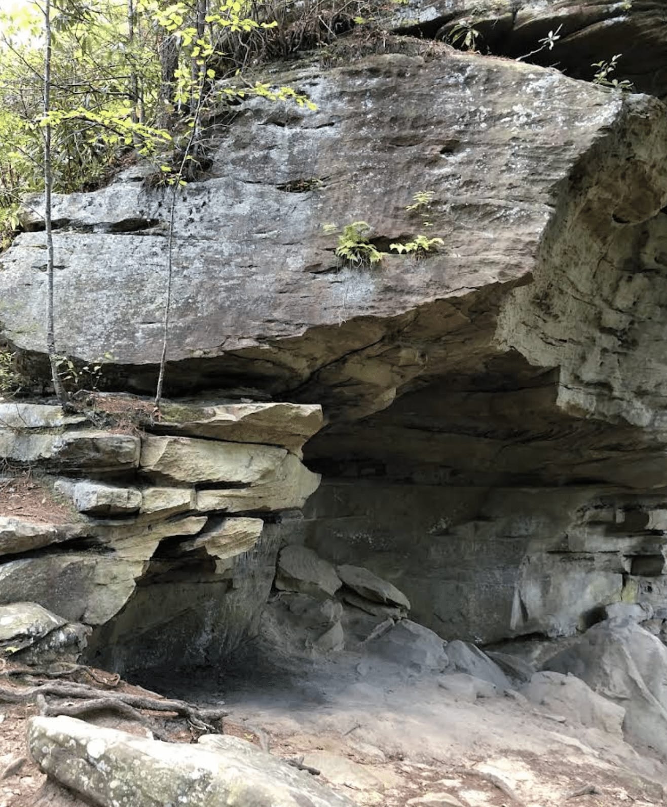 Smoke on The Mountain Mystery Adventure 4 Rock overhang and cave in Red River Gorge, KY. Mystery hike adventure location.